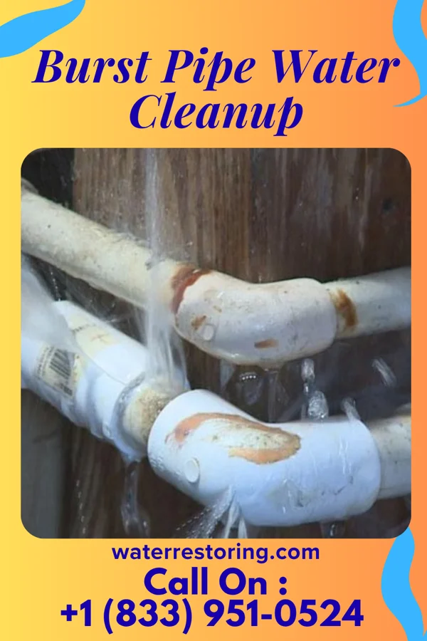 Burst Pipe Water Cleanup in Trumbull, NE