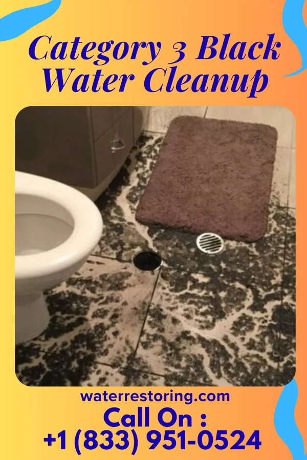 Category 3 Black Water Cleanup in Trumbull, NE