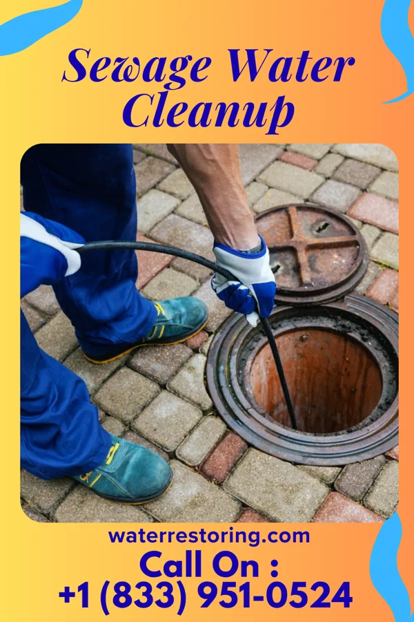 Sewage Water Cleanup in Trumbull, NE
